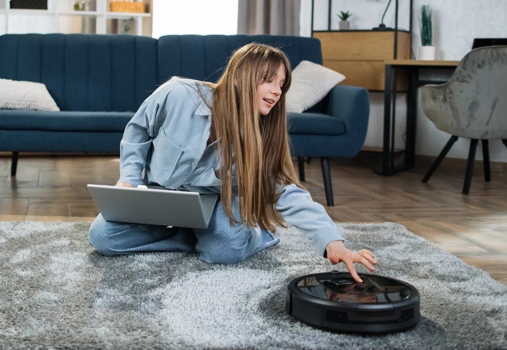 sweeping robot vacuum cleaner